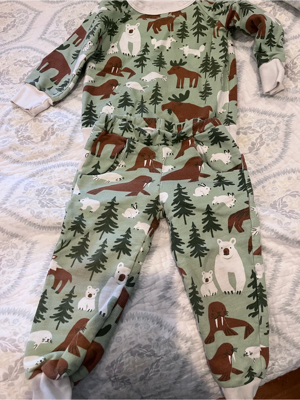 Winter Water Factory Kids Forest Animal Sweat Suit Set - Green Size 2t — image 3 of 3